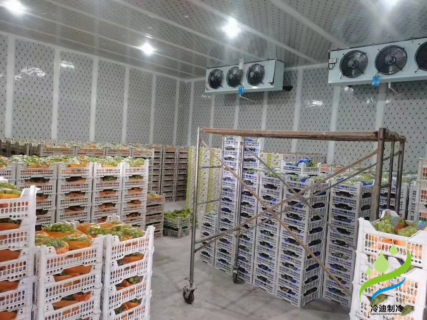 建造氣調(diào)冷庫(kù)多大一間比較合適？