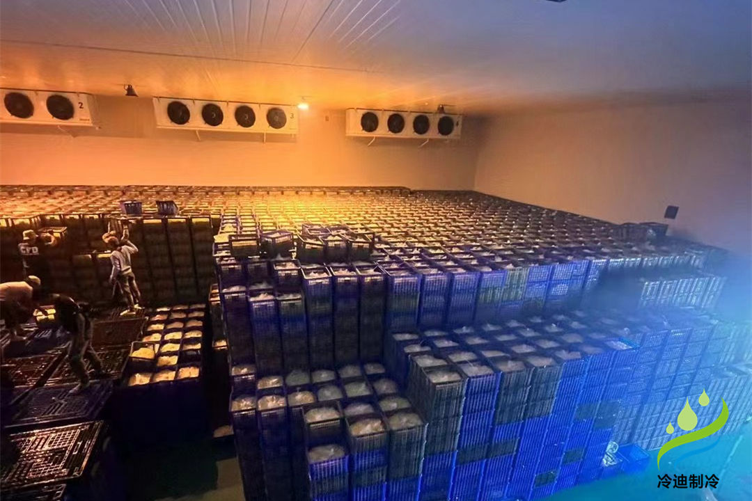 1000立方冷庫可以存多少噸？用多大制冷設(shè)備？